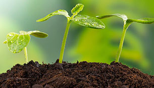 土壤污染状况调查及修复